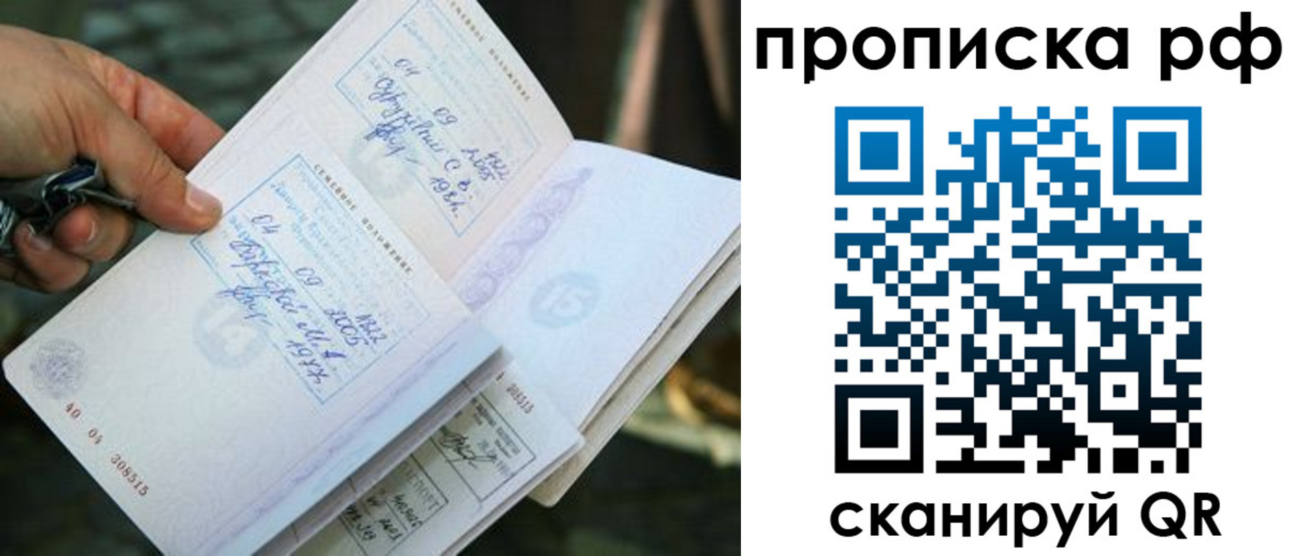 прописка гарантия в Новомосковске